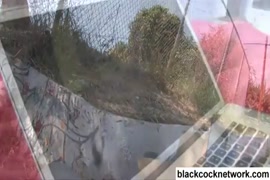 اغتصاب عنيف ودم xnxx